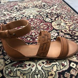 Frye Gladiator Sandals